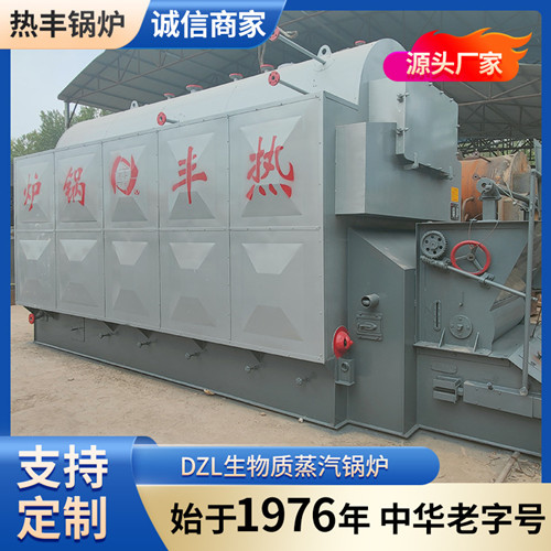 DZL生物质蒸汽锅炉